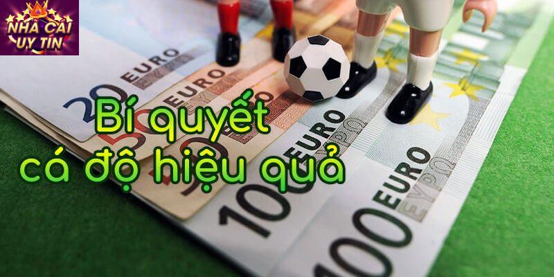 Kinh nghiệm chơi cá cược : Chọn Nhà Cái Uy Tín