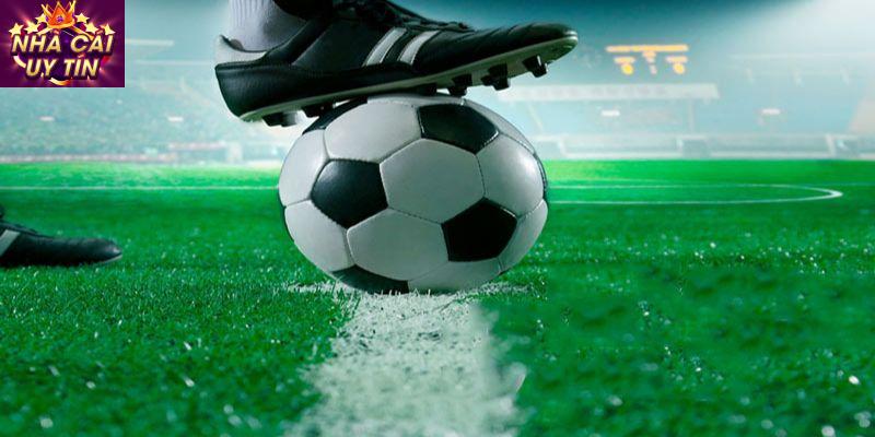 Lựa Chọn Nhà Cái Uy Tín Để Cá Cược