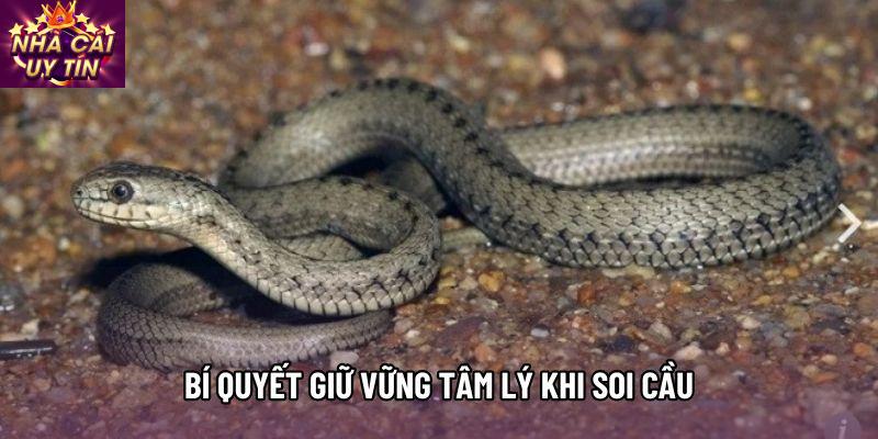 Bí quyết giữ vững tâm lý khi soi cầu Bí quyết giữ vững tâm lý khi soi cầu